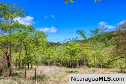 Fire Sale Las Fincas Escamequita Lot 20 over 2.5 acres