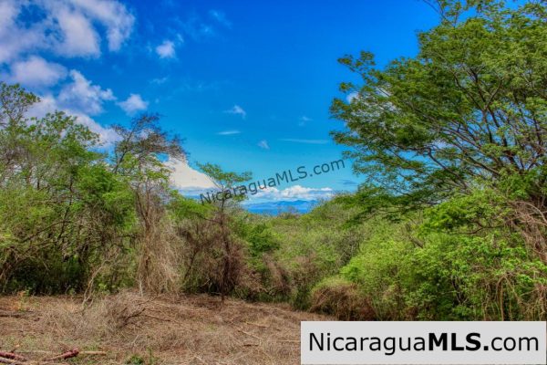 Eco Estate View Property 1.5 Acres Las Fincas de Escamequita - Image 3