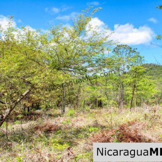 Fire Sale Las Fincas Escamequita Lot 20 over 2.5 acres