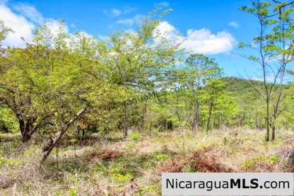 Fire Sale Las Fincas Escamequita Lot 20 over 2.5 acres