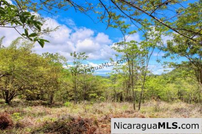 Fire Sale Las Fincas Escamequita Lot 20 over 2.5 acres