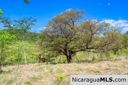 Fire Sale Las Fincas Escamequita Lot 20 over 2.5 acres