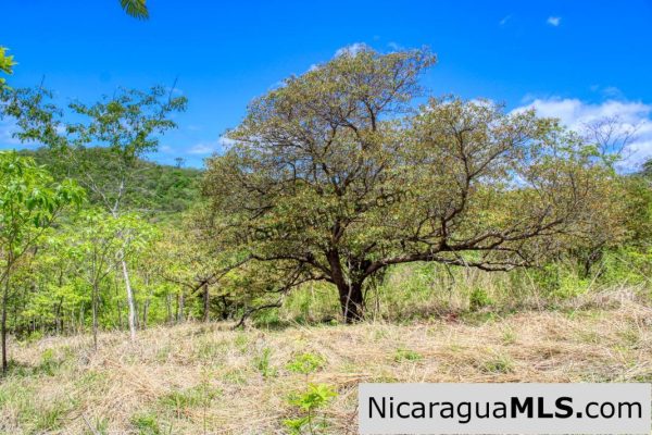 Fire Sale Las Fincas Escamequita Lot 20 over 2.5 acres - Image 4