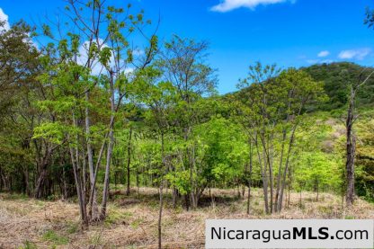 Fire Sale Las Fincas Escamequita Lot 20 over 2.5 acres