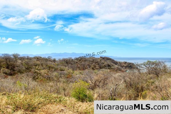 2.5 acres Panoramic Ocean Views Hilltop Ostional - Image 3