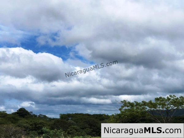 4 Acres in Las Delicias on the Road to Playa Coco - Image 4