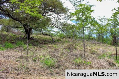 Fire Sale Las Fincas Escamequita Lot 20 over 2.5 acres