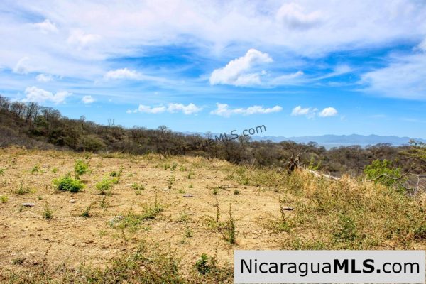 2.5 acres Panoramic Ocean Views Hilltop Ostional - Image 10