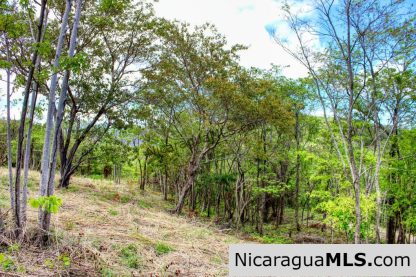 Fire Sale Las Fincas Escamequita Lot 20 over 2.5 acres