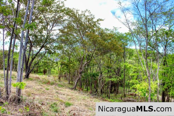 Fire Sale Las Fincas Escamequita Lot 20 over 2.5 acres - Image 7