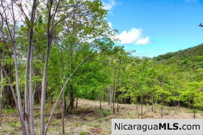 Fire Sale Las Fincas Escamequita Lot 20 over 2.5 acres