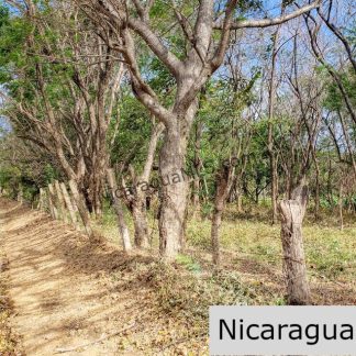 Premium Acre Road to Beaches No Restrictions San Juan del Sur