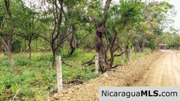 Premium Acre Road to Beaches No Restrictions San Juan del Sur - Image 10