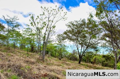Fire Sale Las Fincas Escamequita Lot 20 over 2.5 acres