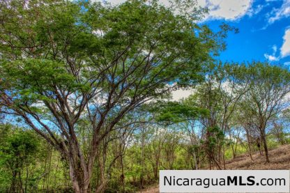 Eco Estate View Property 1.5 Acres Las Fincas de Escamequita - Image 13