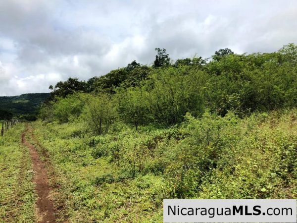 4 Acres in Las Delicias on the Road to Playa Coco - Image 10