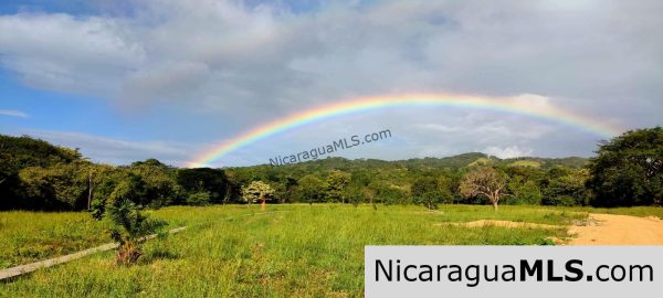 17 acres property with Investment opportunity - Image 3