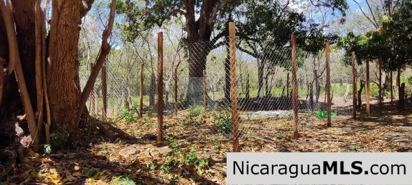 17 Acres Property with Investment Opportunity EL Oro - Image 16