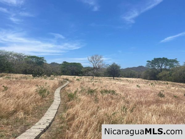 17 acres property with Investment opportunity - Image 9