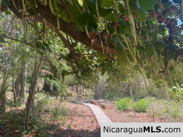 17 acres property with Investment opportunity - Image 11