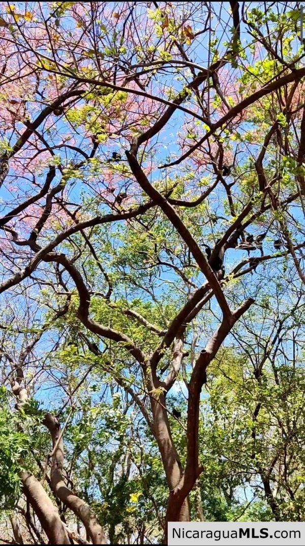 17 Acres Property with Investment Opportunity EL Oro - Image 14