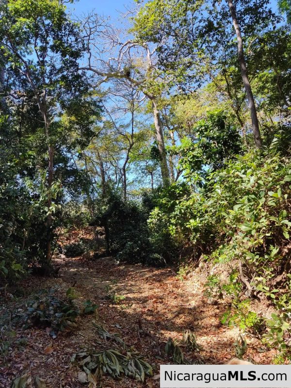 17 acres property with Investment opportunity - Image 13