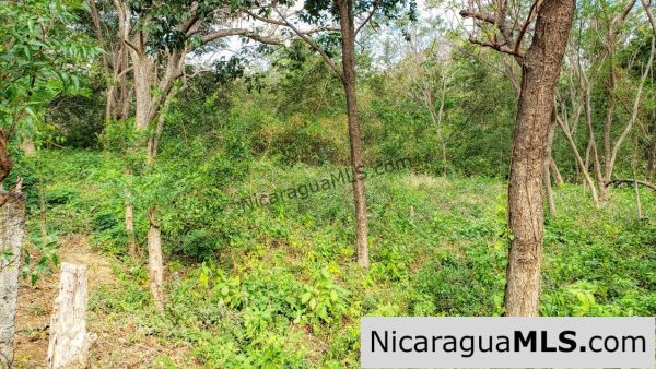 Premium Acre Road to Beaches No Restrictions San Juan del Sur - Image 11