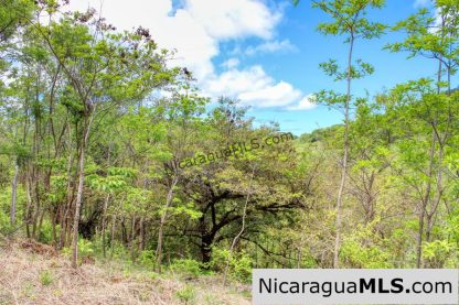 Fire Sale Las Fincas Escamequita Lot 20 over 2.5 acres
