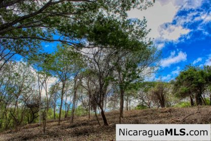 Eco Estate View Property 1.5 Acres Las Fincas de Escamequita - Image 14