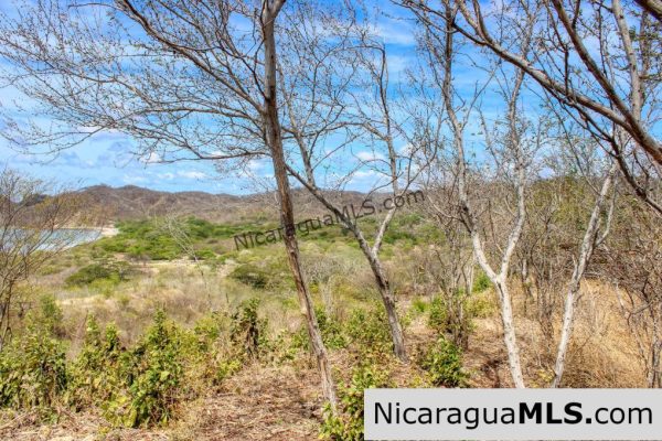 2.5 acres Panoramic Ocean Views Hilltop Ostional - Image 6