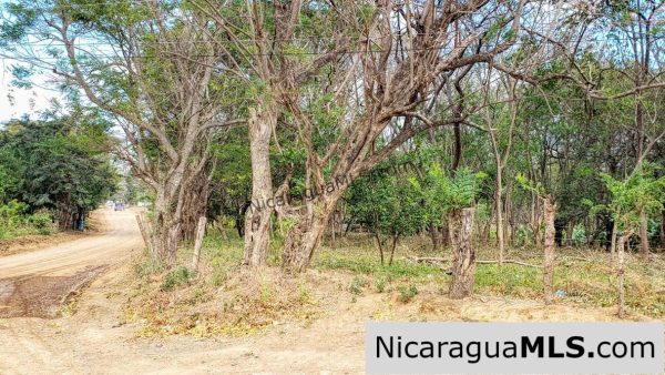 Premium Acre Road to Beaches No Restrictions San Juan del Sur - Image 12