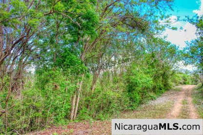 Eco Estate View Property 1.5 Acres Las Fincas de Escamequita - Image 15