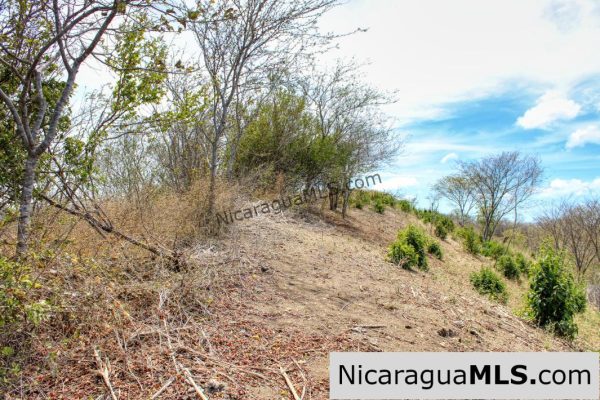 2.5 acres Panoramic Ocean Views Hilltop Ostional - Image 7