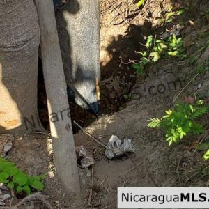 Three Phase 13 Manzana Banana Farm Between Rivas and Tola