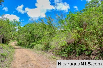 Eco Estate View Property 1.5 Acres Las Fincas de Escamequita - Image 16