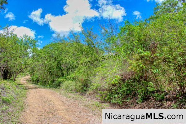 Eco Estate View Property 1.5 Acres Las Fincas de Escamequita - Image 16