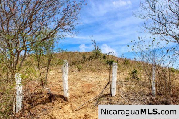 2.5 acres Panoramic Ocean Views Hilltop Ostional - Image 8