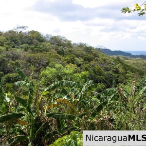 25 Acre Ocean View Lot for Sale Overlooking Playa Marsella