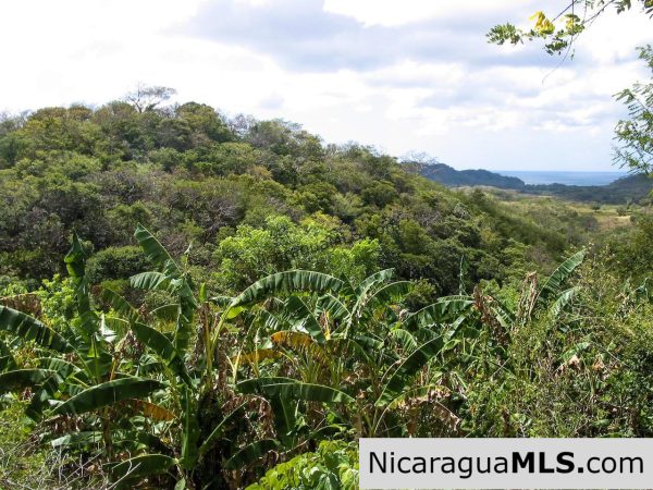 25 Acre Ocean View Lot for Sale Overlooking Playa Marsella
