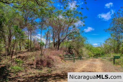 Eco Estate View Property 1.5 Acres Las Fincas de Escamequita - Image 17