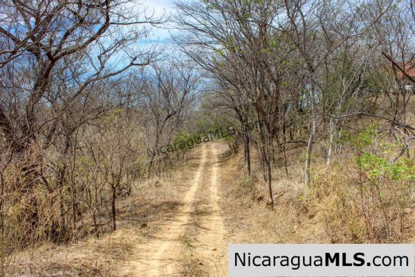 2.5 acres Panoramic Ocean Views Hilltop Ostional - Image 9