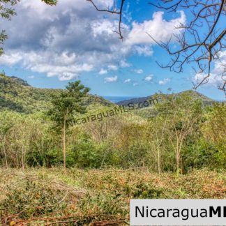 Ocean View Rolling Acres Privacy Arriba Verde Estate