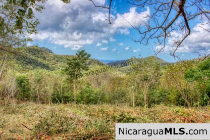Ocean View Rolling Acres Privacy Arriba Verde Estate