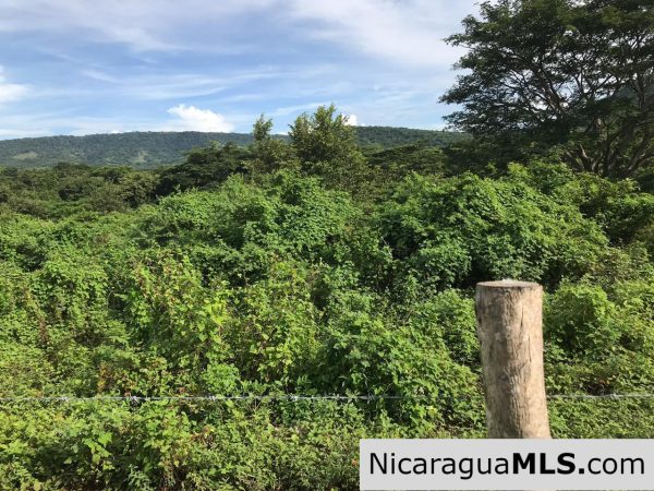 Flat Two Manzana Lot with Great Potential in Las Delicias - Image 7