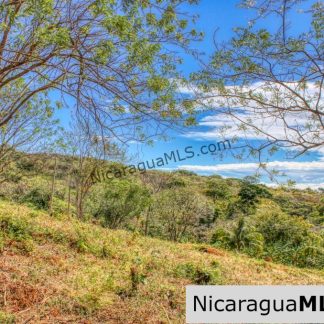 Half Acre Lot Luxury Life Development TreeCasa FIRE SALE