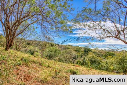 Half Acre Lot Luxury Life Development TreeCasa FIRE SALE