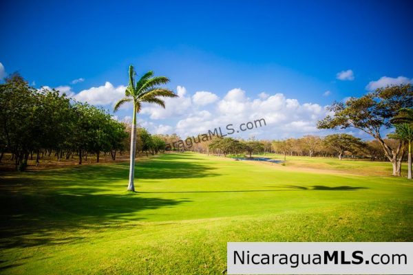 Hacienda Iguana Golf Lot - Image 5