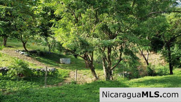 Multi Use Land For Home or Business San Juan del Sur - Image 9