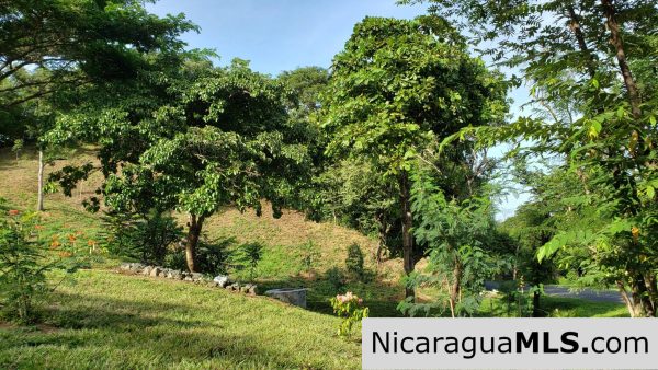 Multi Use Land For Home or Business San Juan del Sur - Image 14
