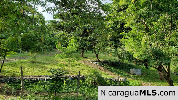 Multi Use Land For Home or Business San Juan del Sur - Image 15